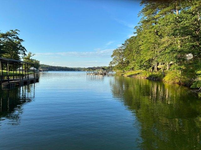 Land for sale in Double Springs, Alabama