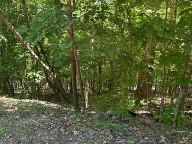 Land for sale in Tennessee