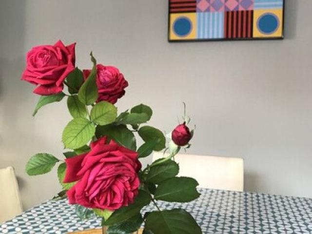 Room to rent in Bluebell, North Tipperary
