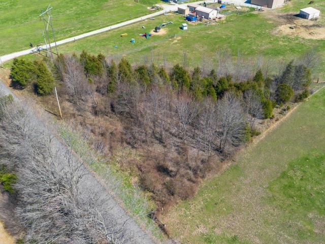 Land for sale in Orleans, Indiana