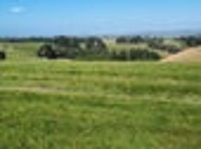 Land for sale in Otakou