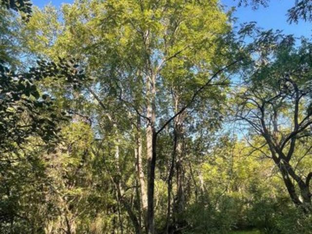 Land for sale in Virginia