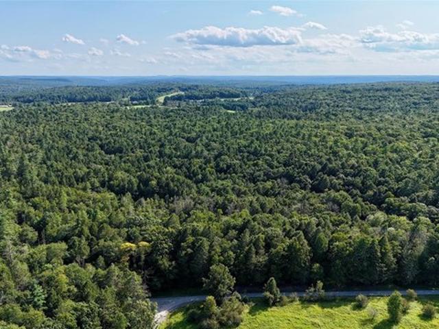 Land for sale in Callicoon, New York