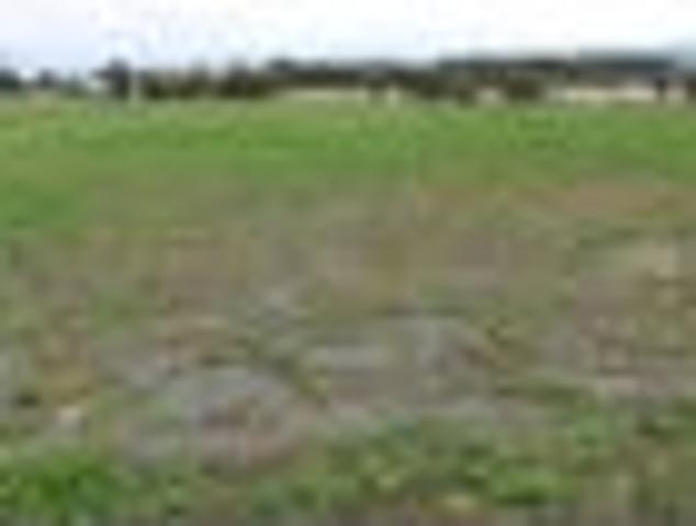 Land for sale in Otaki, Wellington