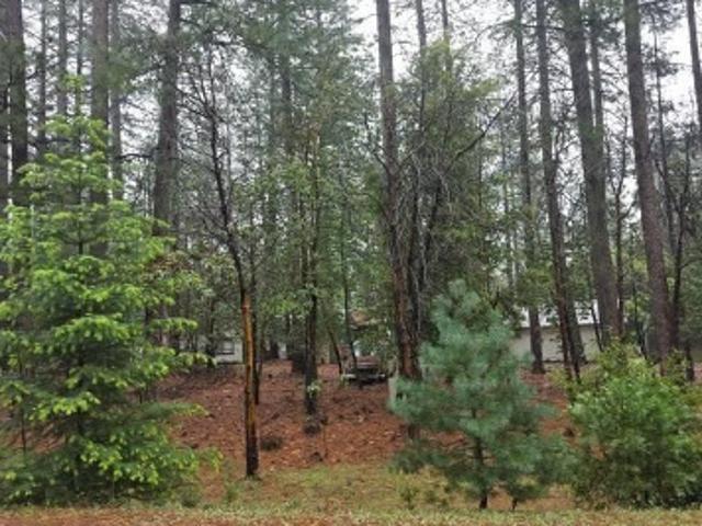 House for sale in Placerville, California