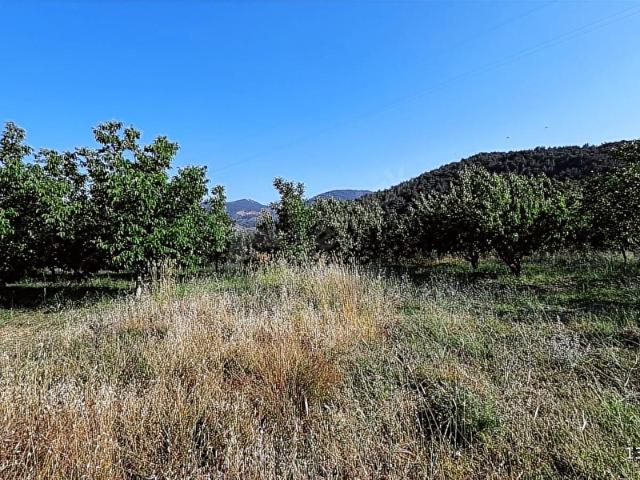 Fethiye, Muğla içerisinde satılık Arsa