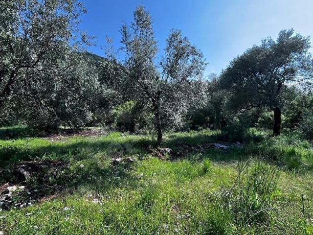 Fethiye, Muğla içerisinde satılık Arsa