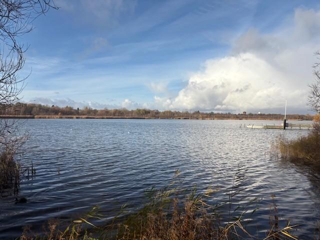 Lejlighed til leje i Brøndby