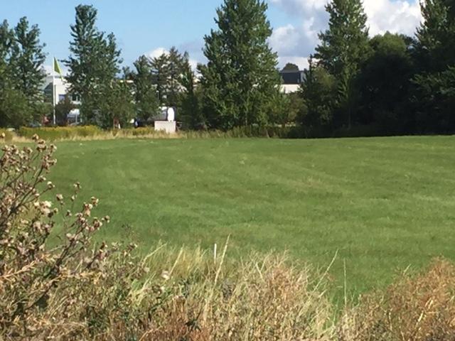 Erhvervsejendom til leje i Kalundborg