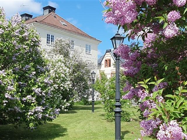 Lägenhet hyra i Tierp, Uppsala