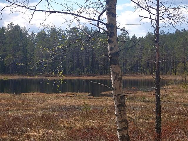 Gård till salu i Storå, Örebro