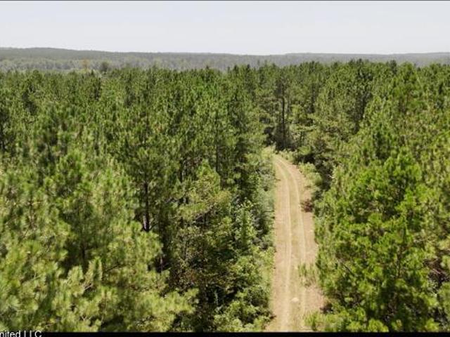 Land for sale in Jefferson Davis County, Mississippi