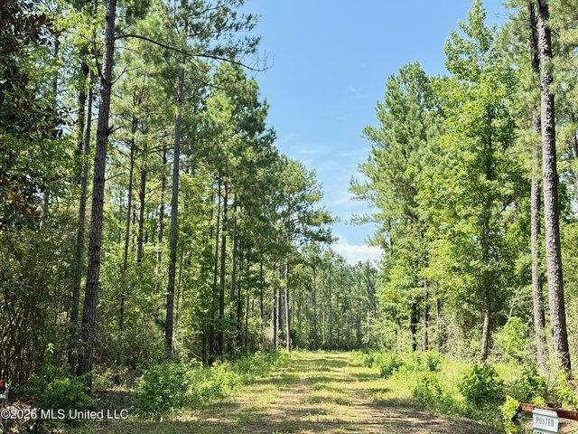 Land for sale in Oak Vale, Mississippi