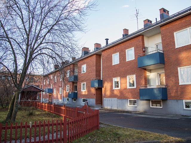 Hus hyra i Piteå, Norrbotten