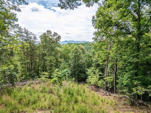 Land for sale in Brasstown, North Carolina