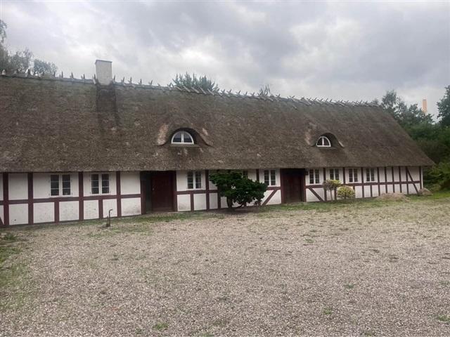 Hus til leje i Odense, Odense Kommune