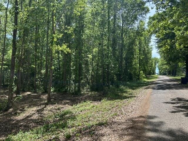 Farm for sale in Summit, Mississippi