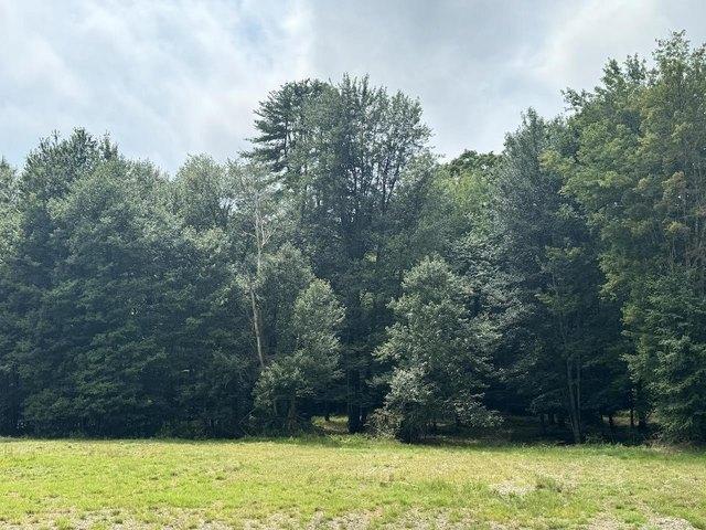 Land for sale in New Hampshire