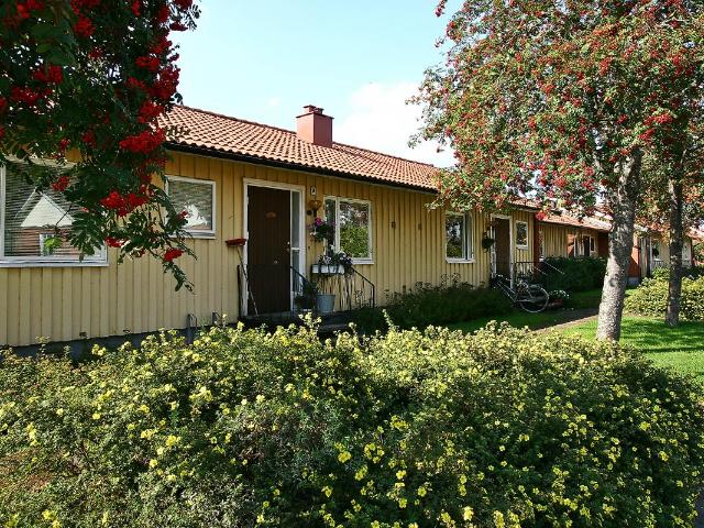 Hus hyra i Rottne, Kronoberg