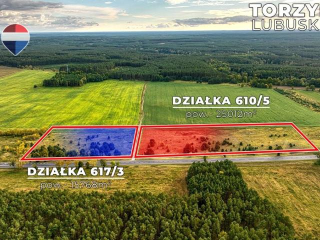 Grunt na sprzedaż w Torzym, Lubuskie