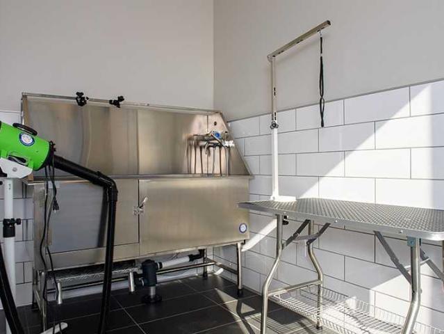Apartment for rent in Solano, California