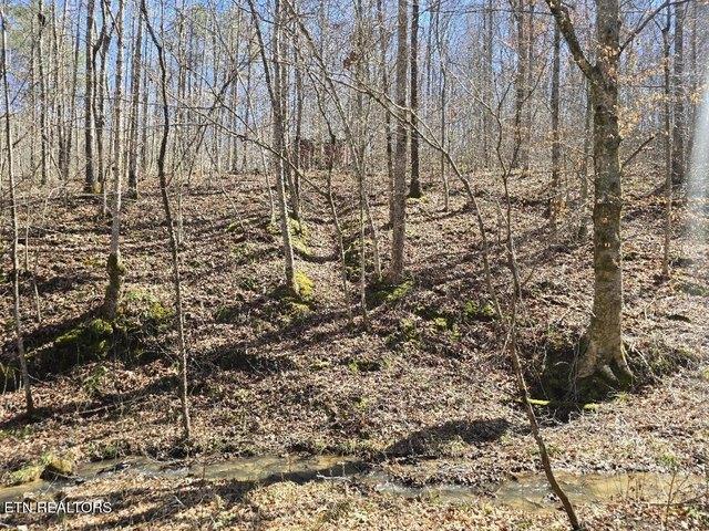 Land for sale in Tennessee