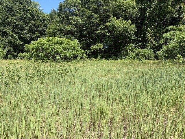 Land for sale in Hatfield, Massachusetts