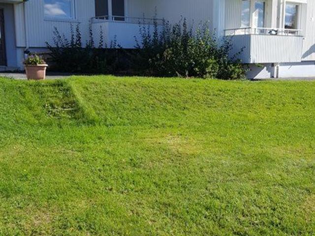 Lägenhet hyra i Backe, Fjällsjö distrikt