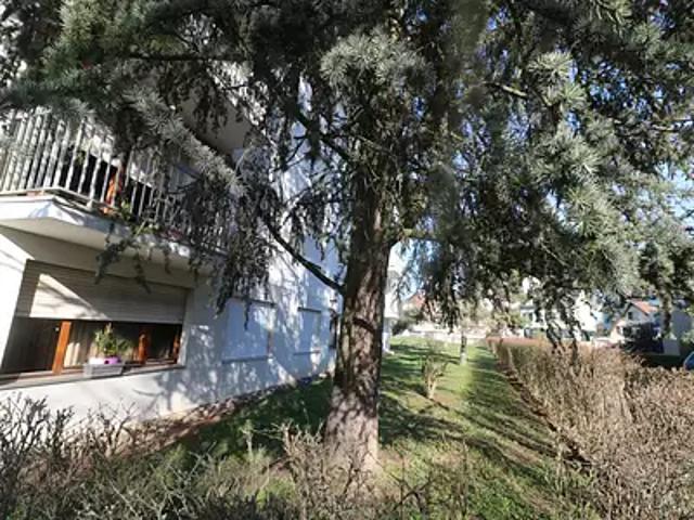 Appartement vente à Strasbourg, Hoenheim