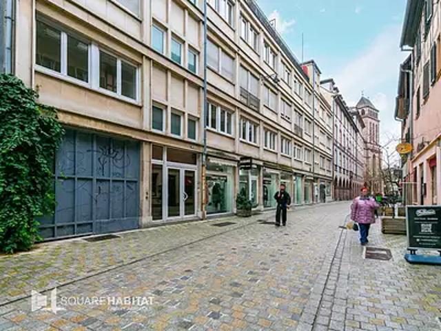 Appartement vente à Strasbourg, Hoenheim