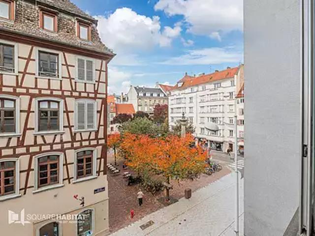 Appartement vente à Strasbourg, Hoenheim