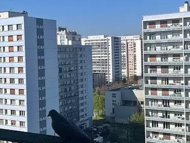 Appartement vente à Strasbourg, Hoenheim