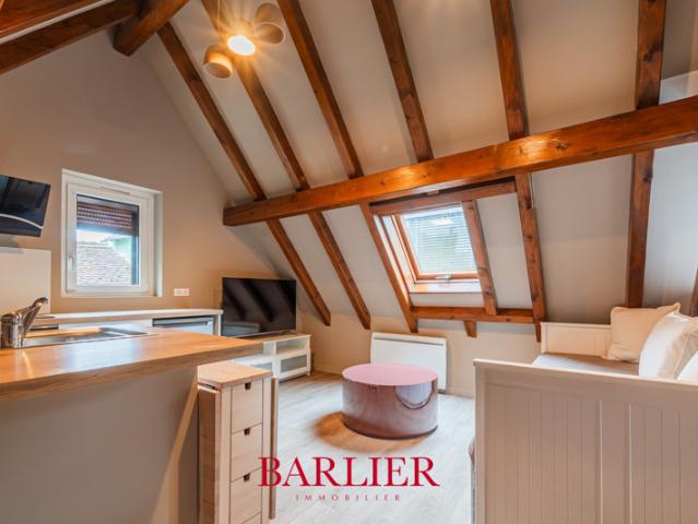 Appartement vente à Strasbourg, Hoenheim