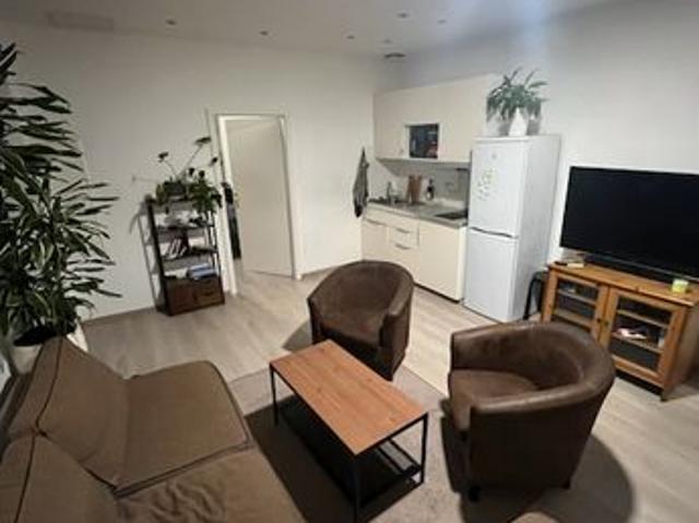 Appartement vente à Strasbourg, Hoenheim