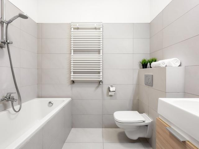 Appartement vente à Strasbourg, Hoenheim
