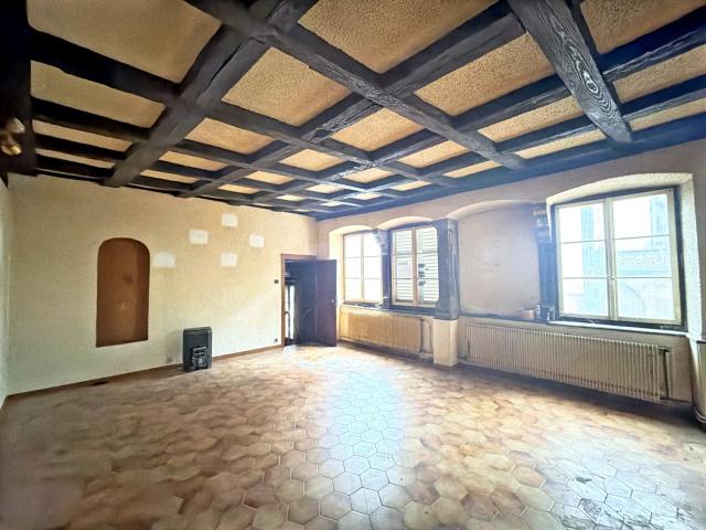 Appartement vente à Strasbourg, Hoenheim