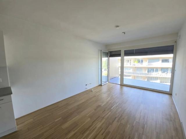 Apartment mieten in Katastralgemeinde Webling, Graz