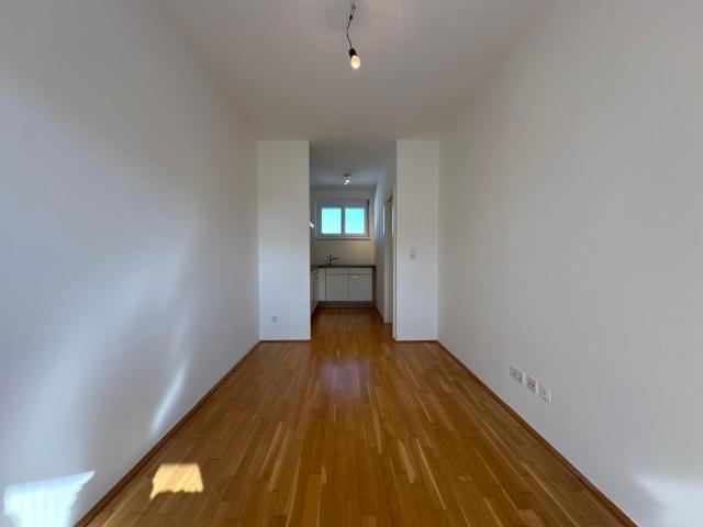 Apartment mieten in Katastralgemeinde Baierdorf, Graz
