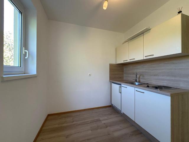 Apartment mieten in Katastralgemeinde Baierdorf, Graz