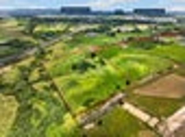 Land for sale in Paremoremo