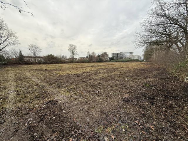 Erdgeschosswohnung kaufen in Neumünster, Schleswig-Holstein