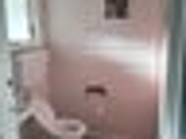 House for rent in Invercargill, Southland