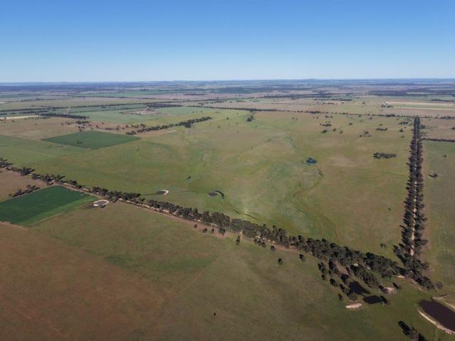 Acreage for sale in West Wyalong, New South Wales