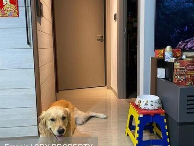 Condominium for sale in 19 North East, Hougang