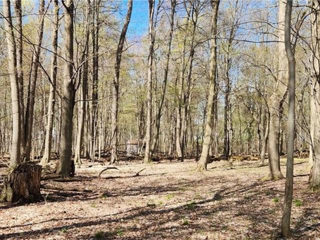 Land for sale in Oak Hill, New York