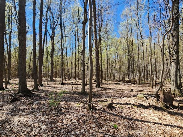 Land for sale in North Greece, New York