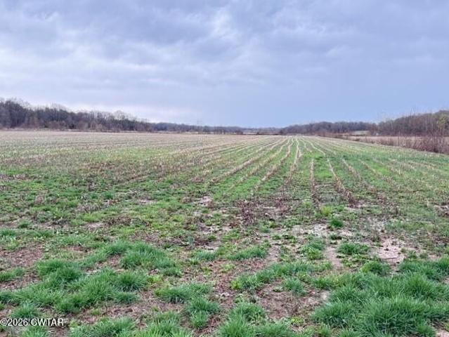 Farm for sale in Tennessee