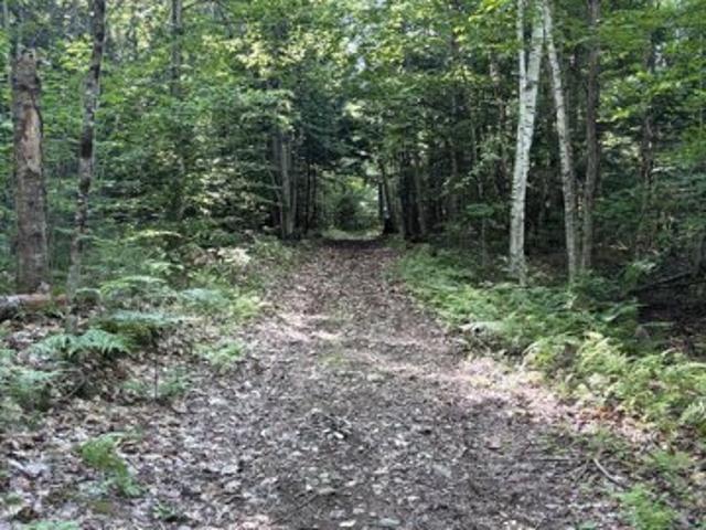 Land for sale in Buckfield, Maine