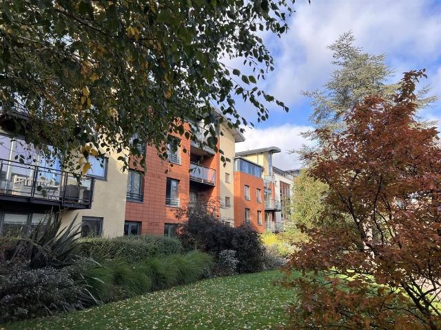 Apartment for rent in St Thomas', The Slade