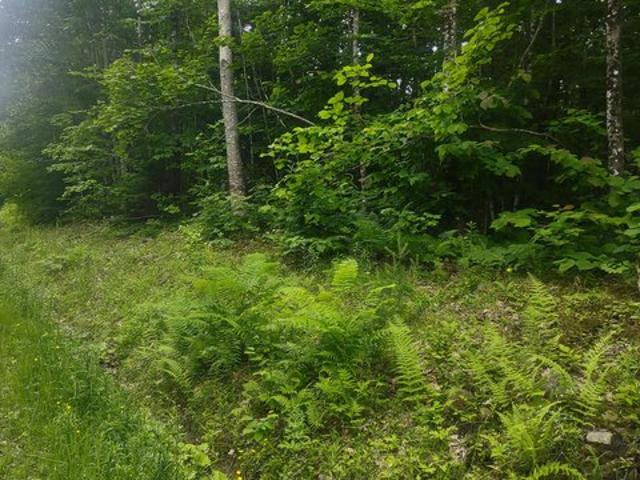 Land for sale in Vienna, Kennebec County